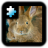 icon Rabbit 2.0