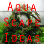 icon Aqua Scape Ideas
