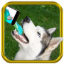 icon Dog Breed Drink Cocktail Simulator