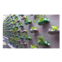 icon DIY Homemade Flower Pot Rock for LG Q6a