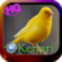 icon Best Canaries Complete Mp3