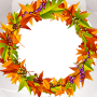 icon Autumn Photo Collage for neffos C5L