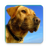 icon Dog Sounds 5.0.1-40071