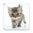 icon Cat Sounds and Pictures 5.0.1-40073