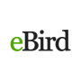 icon eBird by Cornell Lab for LG K10 LTE(K420ds)