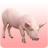 icon Pig sound 1.27