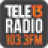 icon Tele13 Radio v3.0.0(2017092901)