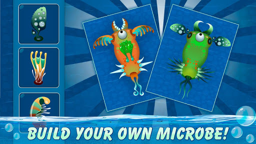 Micro Evolution Lab: Spora