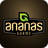 icon Ananas Gurme 8.0.0