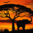 icon african sunset live wallpaper 6.00