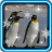 icon Pinguin live wallpaper 1.3