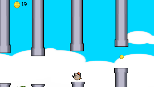 Hardest bird ever