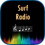 icon Surf Radio for Doopro P2