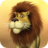 icon Talking Luis Lion 11.0