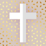 icon Bible KJV offline with voice for LG Q6a