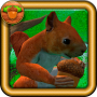 icon Squirrel Simulator for Samsung Galaxy Grand Duos(GT-I9082)
