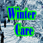 icon Winter Care for Samsung Galaxy Note 10 1
