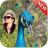 icon Peacock Photo Frame 1.1