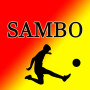 icon SAMBO for iball Slide Cuboid