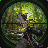 icon US Sniper Birds Hunting Jungle 1.0