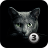 icon Find a cat 3 1.5.4