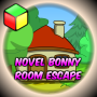 icon Novel Bonny Room Escape