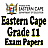 icon Grade 11 Eastern Cape 1.0