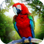icon Jungle Parrot Simulatortry wild bird survival!