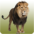 icon Lion sounds 1.20