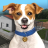 icon Animal Shelter Simulator 1.072