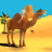 icon Camel Simulator 1.0