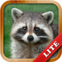 icon Animals for Kids