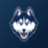 icon UConn Huskies 10.0.6