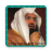 icon tr.com.abdulrahmanalsudais.free 1.5.3