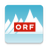 icon Ski Alpin 4.2.8