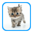 icon Cat Sounds and Pictures 1.01