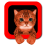 icon Cat simulator 3D for Samsung Galaxy J2 DTV