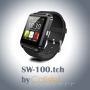 icon SW-100.tch by Callstel for Samsung S5830 Galaxy Ace