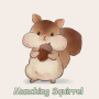 icon Cute Wallpaper Munching Squirrel Theme for intex Aqua A4