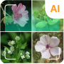 icon Plant identifier for Samsung Galaxy Note 10 1