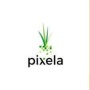 icon Pixela Pay