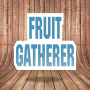 icon Fruit Gatherer for Samsung Galaxy Note 10 1