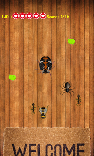 Bug Smasher The Game