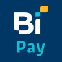 icon Bi Pay for Doopro P2