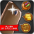 icon com.bhima.flashoncallsms 4.0