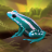 icon Pocket Frogs 3.7.0