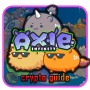 icon Axie Infinity Scholarship Guide
