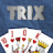 icon Trix 5.1.5