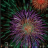 icon fireworks 1.10