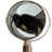 icon Magnifying Glass 1.30